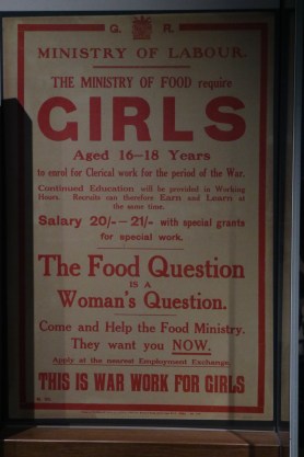 20170814174841_IMG_0376