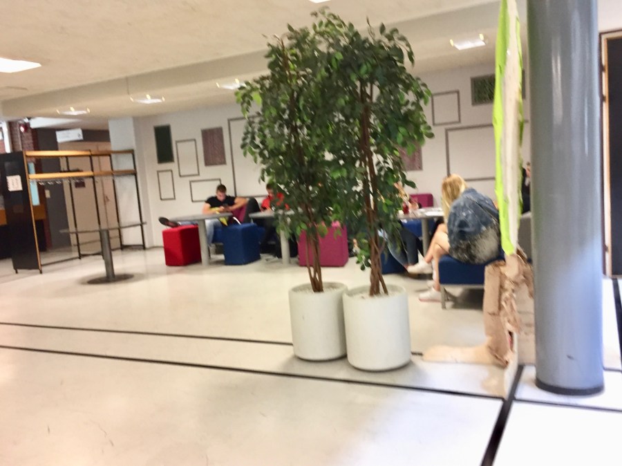 Estudiantes haciendo la tarea fuera del aula